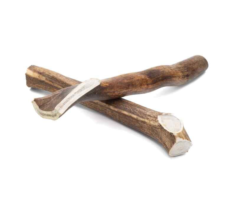 Solid Elk Antler - X-Large