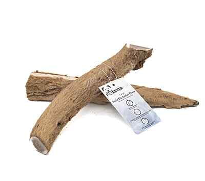 Solid Elk Antler - Large - Velvet