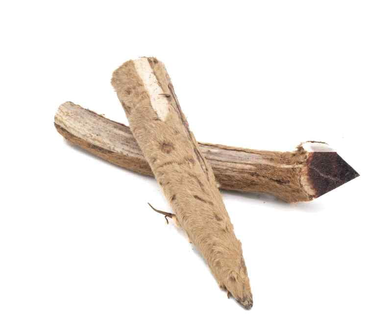 Solid Elk Antler - Large - Velvet