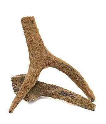 Solid Elk Antler - X-Large - Velvet