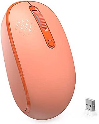 Souris Sans Fil RATEL avec DPI Orange