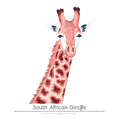 South African Giraffe Product Display Card