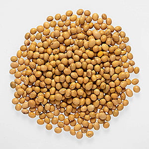 PUL41058 : Soyabean Whole NEPALI  2 LB
