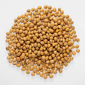 PUL41058 : Soyabean Whole NEPALI  2 LB