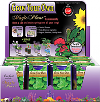 Spearmint Herbs Growing Kit