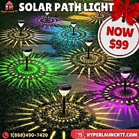 Solar Path Light - Multi-Coloured