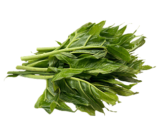 Spiny Lasia Bundle (200gm)