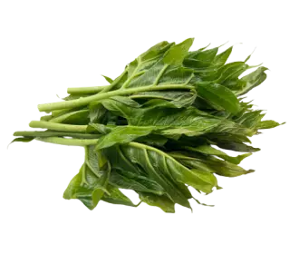 Spiny Lasia Bundle (200gm)