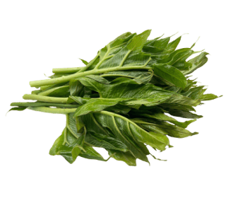 Spiny Lasia Bundle (200gm)