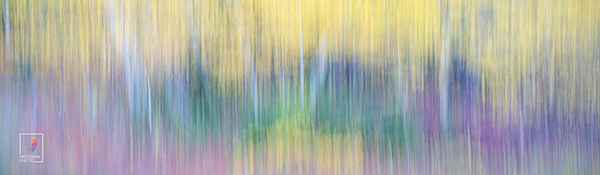 Spirit of the Aspen Spirit of the Aspen