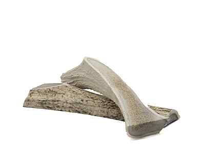 Split Elk Antler - Large