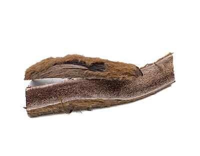Split Elk Antler - Medium - Velvet