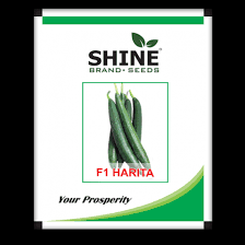 Sponge Gourd Harita - Shine Brand Seeds