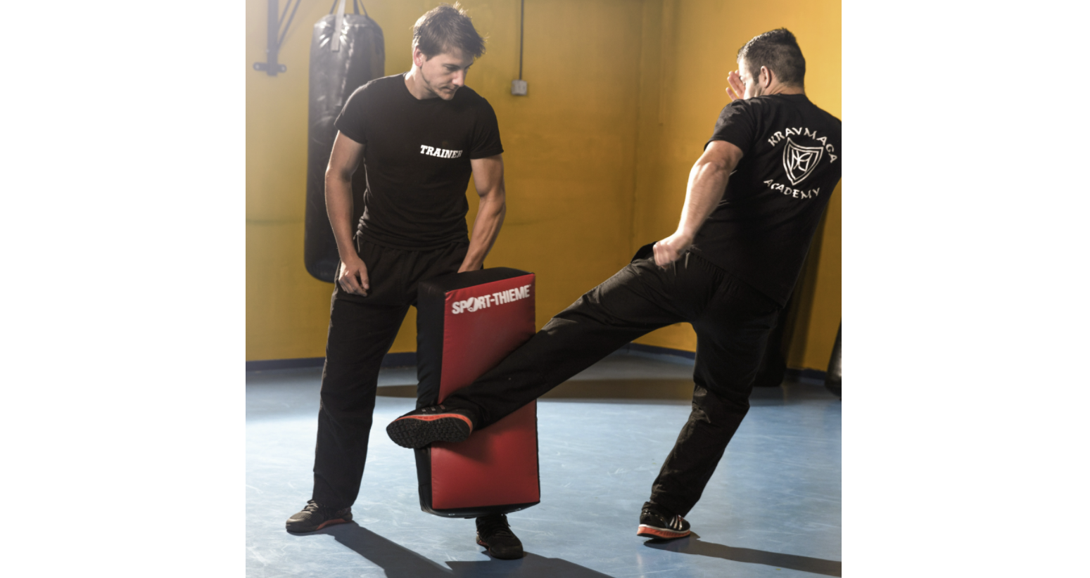 Sport-Thieme Punch Pad