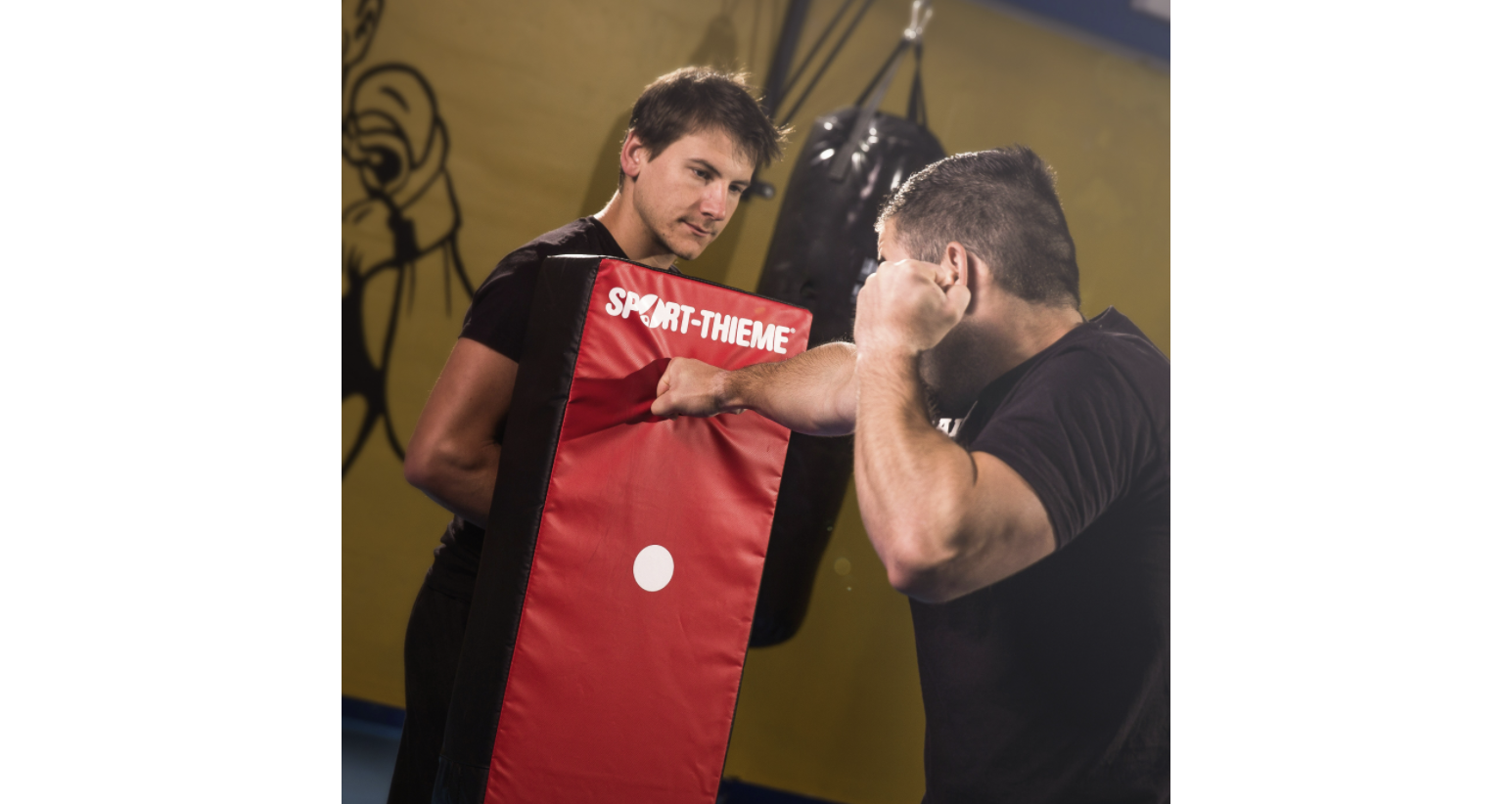 Sport-Thieme Punch Pad