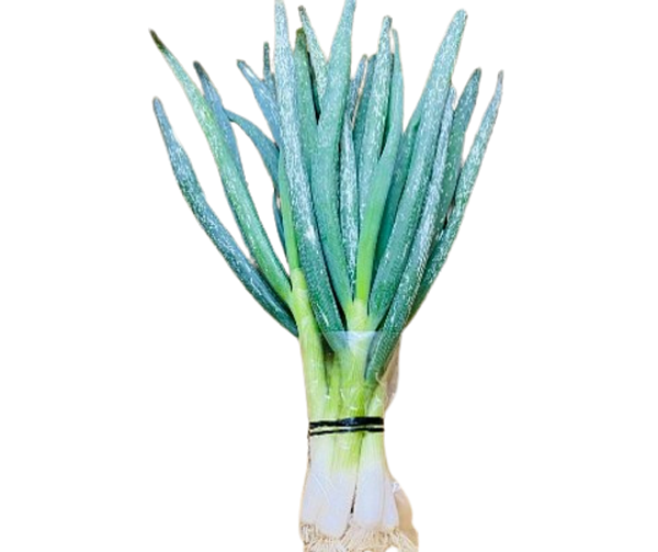 Spring Onion 350grams