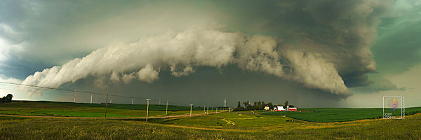 Standing Tall Standing Tall