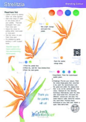 Strelitzia Instruction Poster