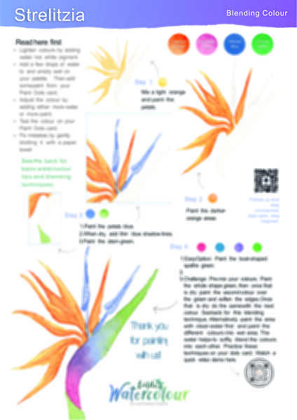 Strelitzia Instruction Poster