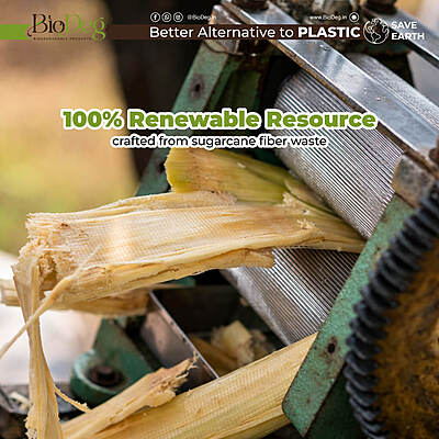 10 Inch 3CP Bagasse Plate | Compartment Plates | Best For Meal Serving