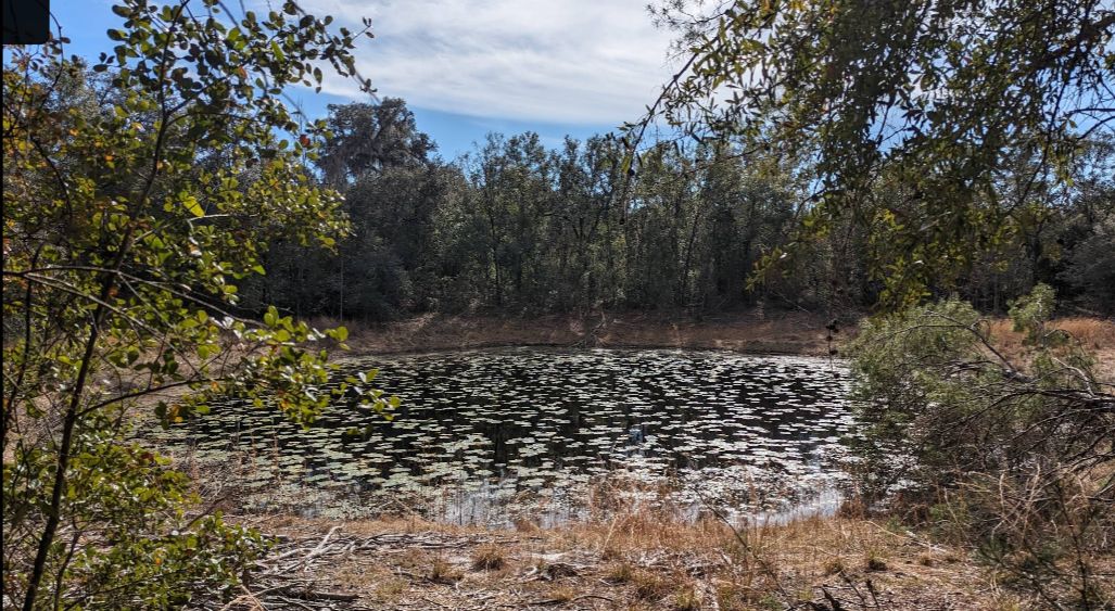 Suge Lane: 4 lots at a price of 2, including two corner lots.