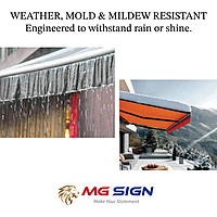 Sunbrella Erin Green (4600)