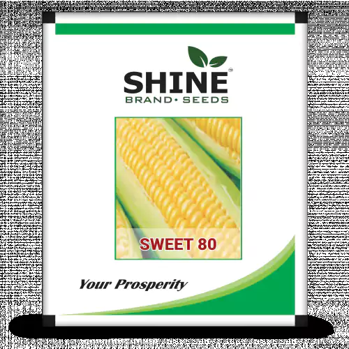 Sweet Corn Sweet 80 (SCH1016 SUGAR KING) - Shine Brand Seeds (500 Gm)