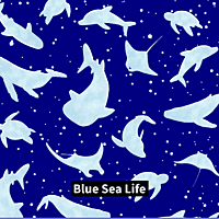 Swim Brief Swim Brief