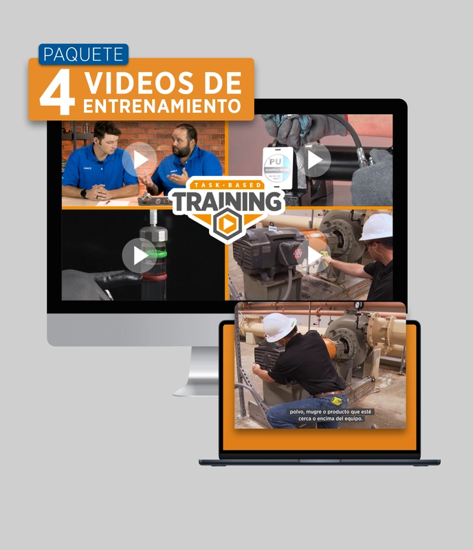 TBT: Paquete de 4 videos