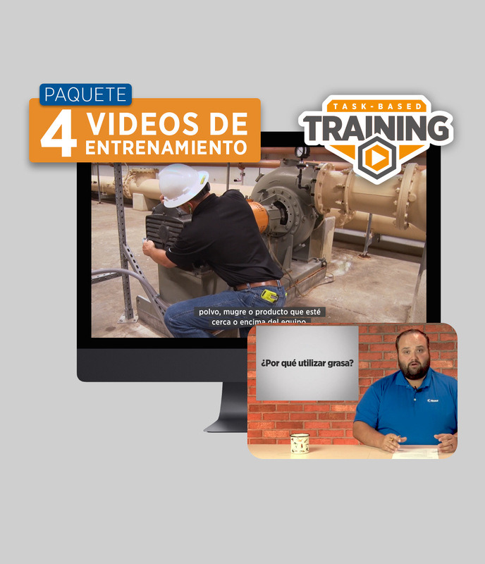 TBT: Paquete de 4 videos