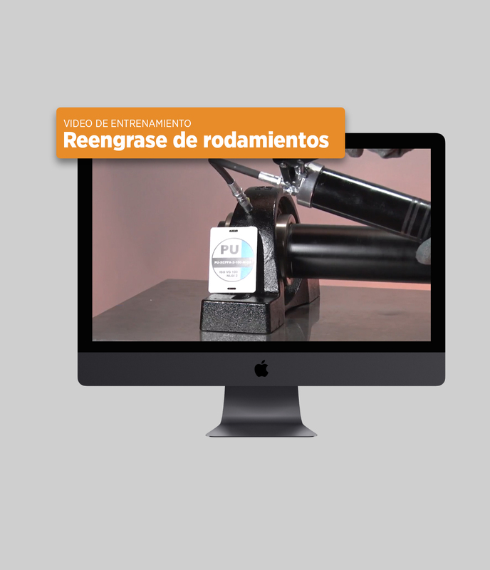 TBT 8: Reengrase de rodamientos
