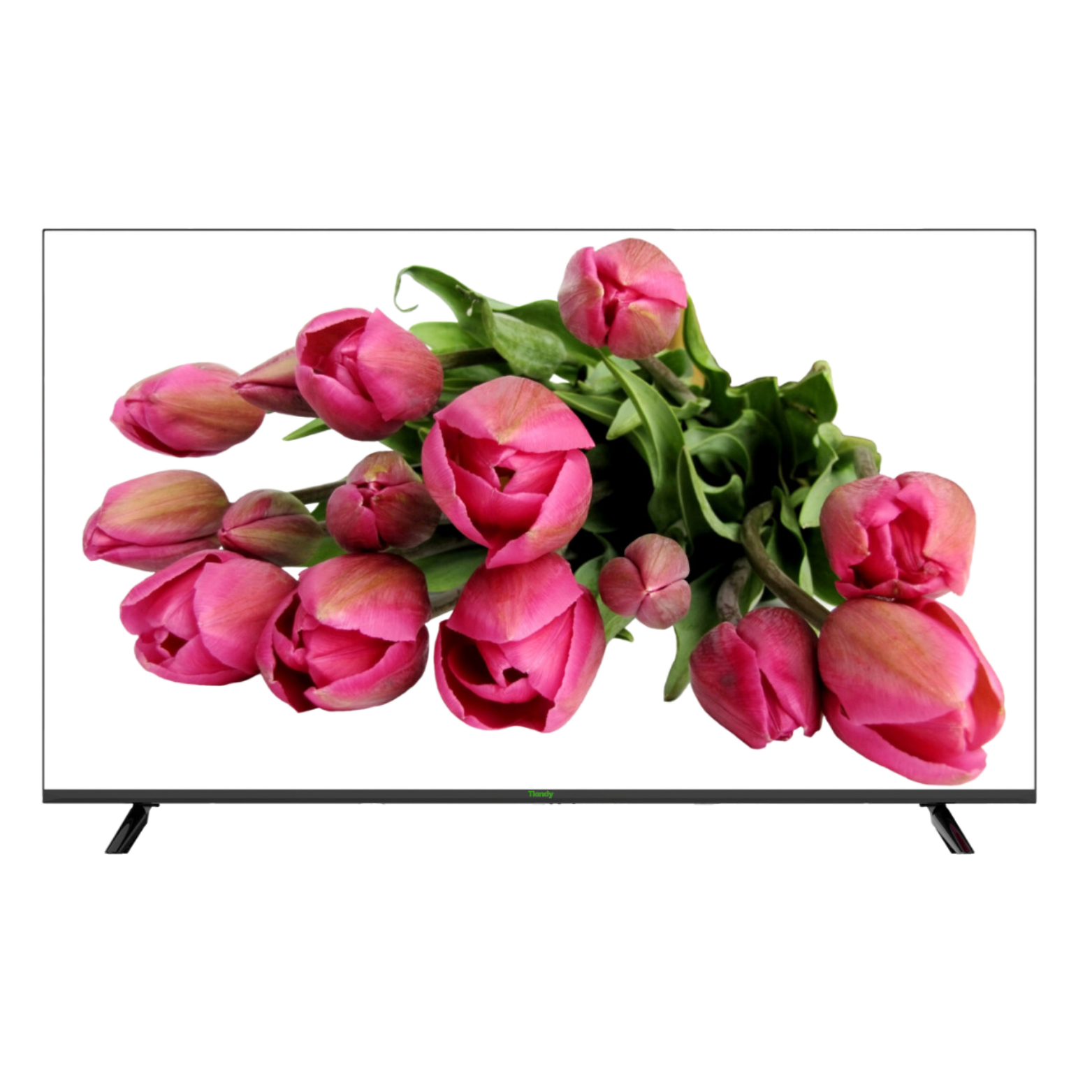 TC-D355 (55-inch Plastic Monitor)