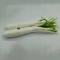 T.C. Moto 401 Trophy Series T.C. Moto 401 Trophy Series