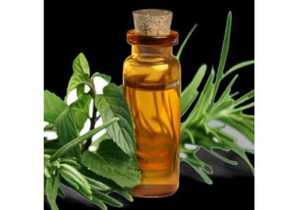 Tea Tree Essential Oil Tea Tree Essential Oil