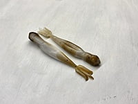 True North Baits - Baby Invader True North Baits - Baby Invader