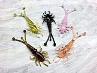 True North Baits - M'eh Fly True North Baits - M'eh Fly