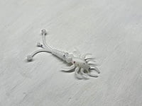 True North Baits - M'eh Fly True North Baits - M'eh Fly