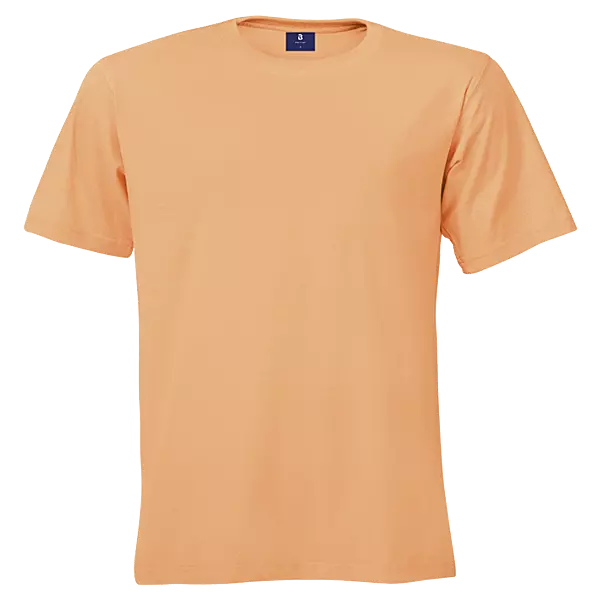 145g Barron Crew Neck T-Shirt