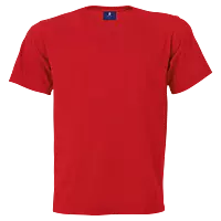 160g Barron Crew Neck T-Shirt