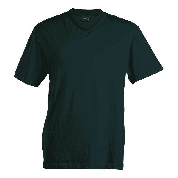 180g Barron V-Neck T-Shirt