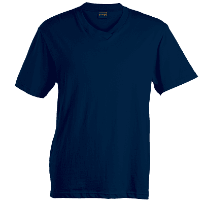 180g Barron V-Neck T-Shirt