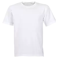 160g Wise-Buy 100% Cotton T-Shirt Promo Fit