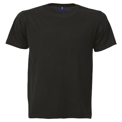 145G SG-Econo T-Shirt Crew Neck