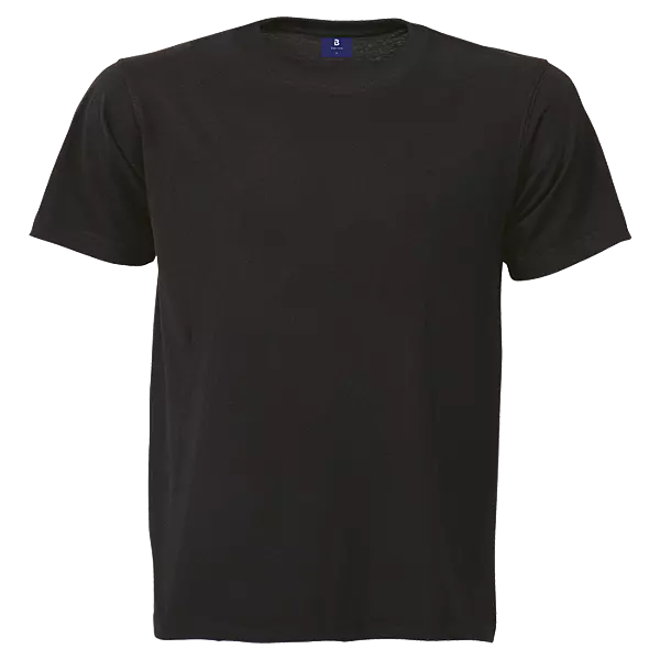 145G SG-Econo T-Shirt Crew Neck