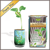 Thank You Nature's Greeting Growing Kit