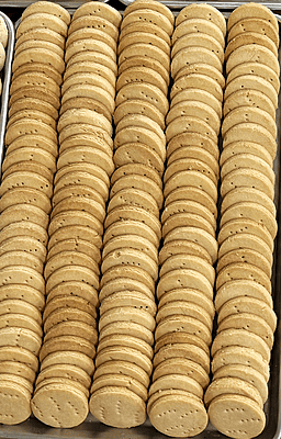 Tea Shop Salt Biscuit (1 lb)