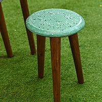 Terri Stool