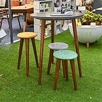 Terri Stool