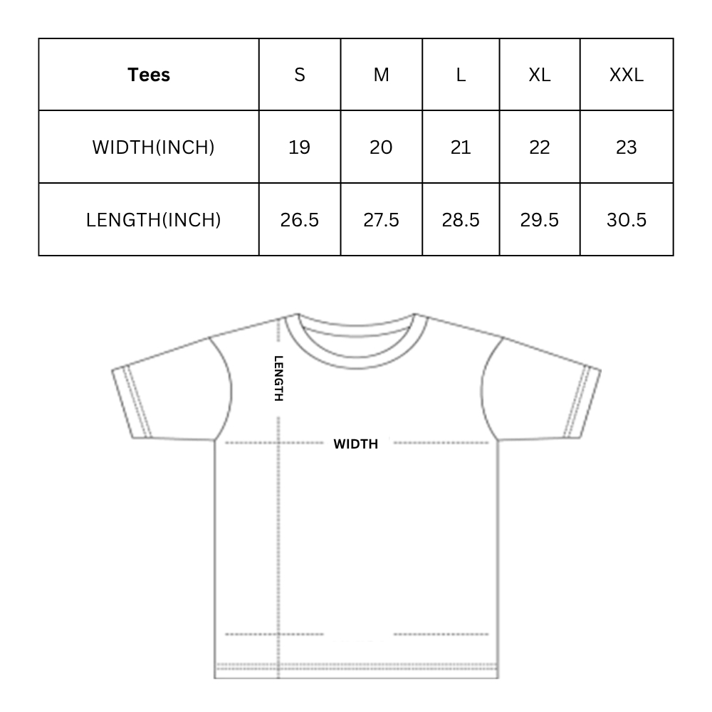 IITM Insti Cotton Tee - Grey Melange