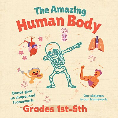The Amazing Human Body